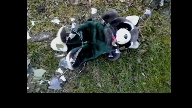 Mein Weg Nach Europa