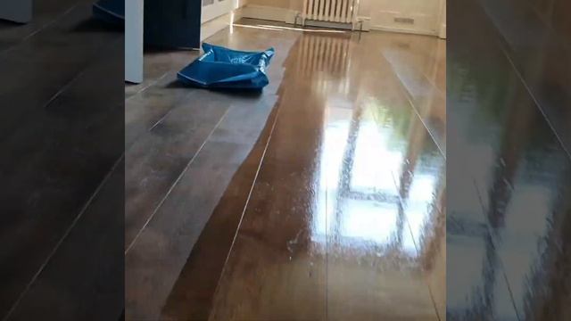 #short: how to get the wooden floor painted смотреть онлайн