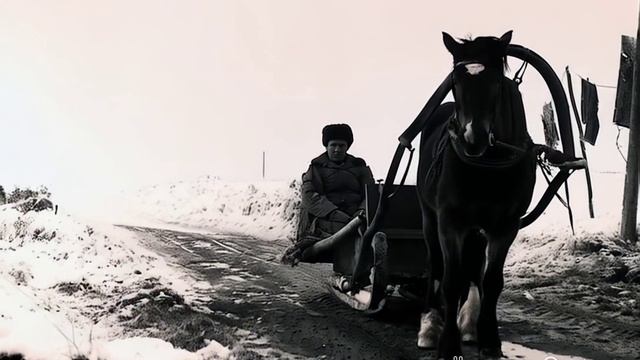368612952980828161 смотреть онлайн
