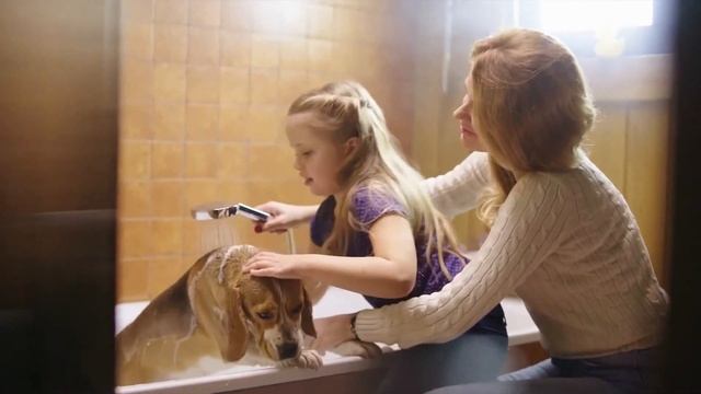 ФМФК 2021-2022. Третья лига. 3А –Электрон(Вят.Пол) vs Барсы - 9:1 смотреть онлайн