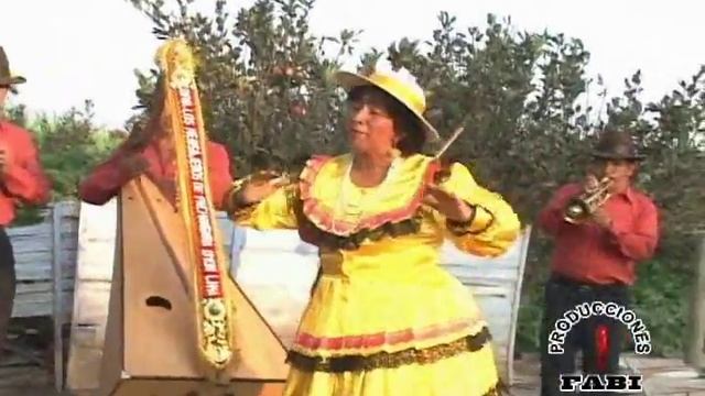 Huari (Mi Partida) - Delia Garcia (La Golondrina Huarina) смотреть онлайн