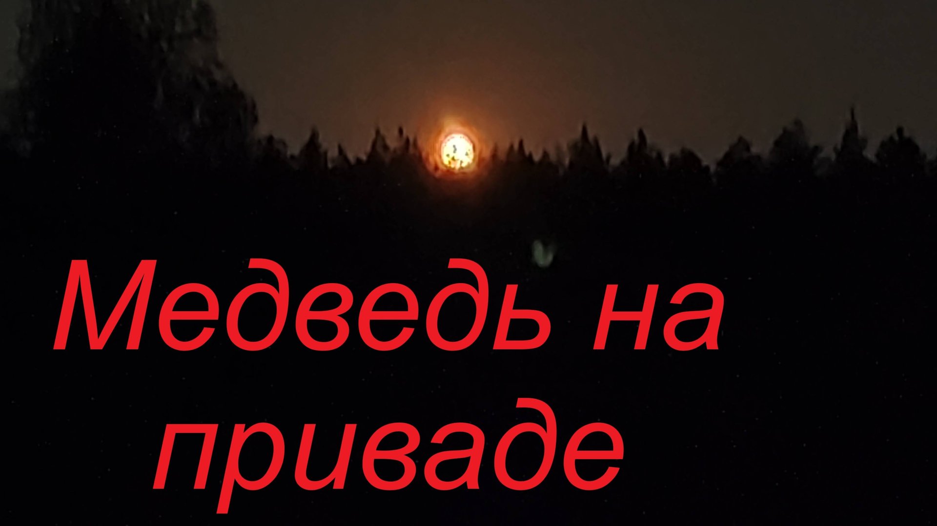 Охота на медведя смотреть онлайн