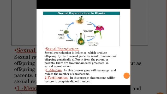 #induced Mutation #plant breeding #genetics #science #sciencefacts #technology смотреть онлайн