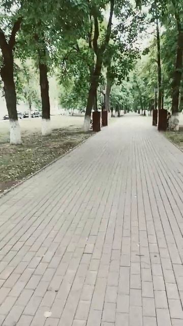 Уфа ул. Тукая Сад Бакса