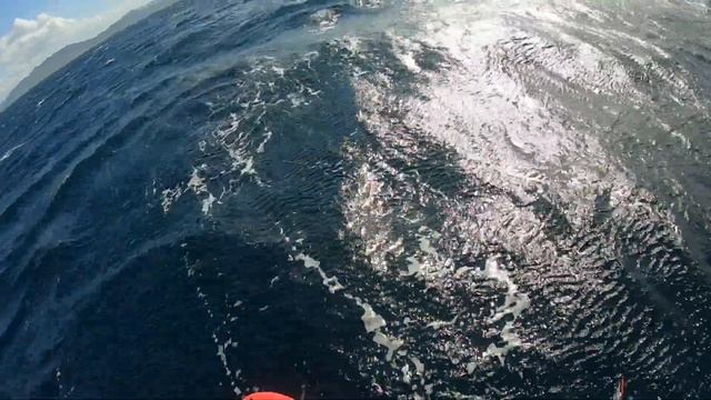 Perfect Day | SUP Foil downwinder смотреть онлайн