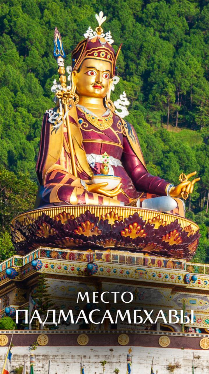 НАПРАВИВ ПОСОХ НА СТАРИКА смотреть онлайн