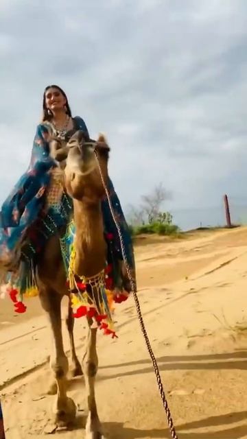 Rajasthani Cultural shoot￼ смотреть онлайн