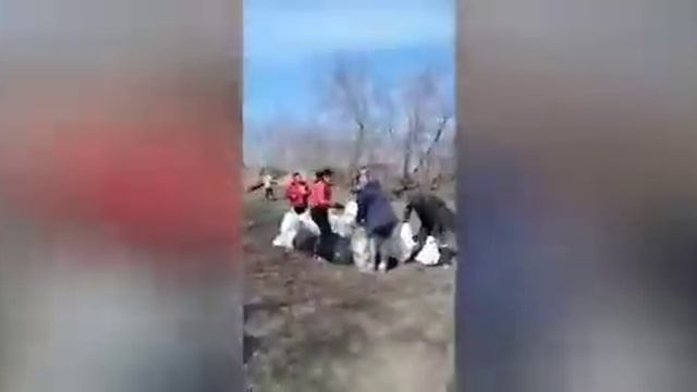Все на субботник!
