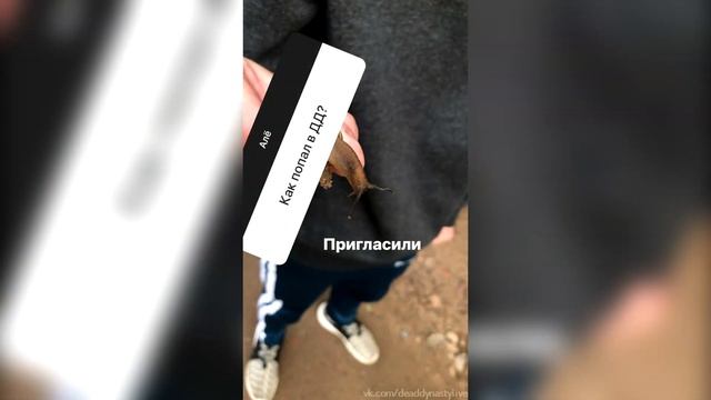Cheney Weird – Stories (Q&A) // 11.07.18 смотреть онлайн
