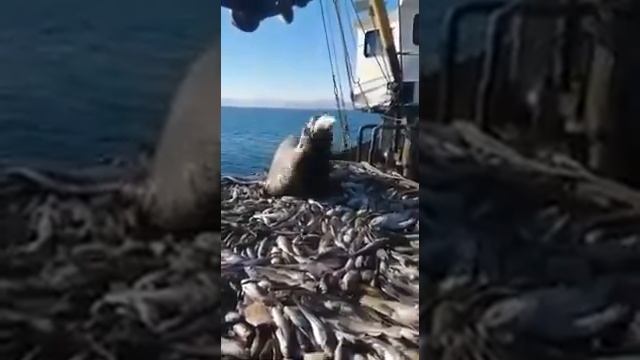 Не званый гость. смотреть онлайн