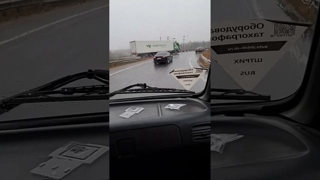 Городской приют отказывается от помощи волонтеров. смотреть онлайн