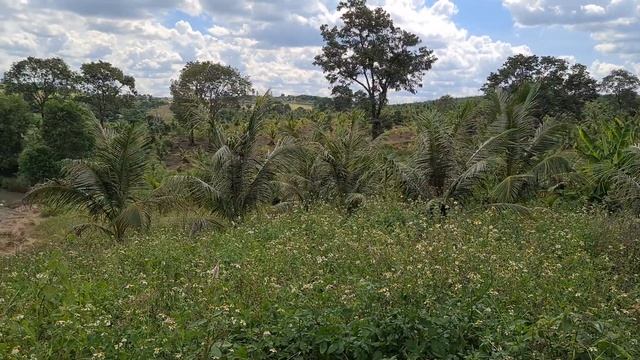 112 ha, GIÁ 61.6 TỶ. CÓ 1.200m ONT. Xã EaSô, huyện Ea Kar, tỉnh Đắk Lắk. ALO, ZALO: 0988.916.562 смотреть онлайн