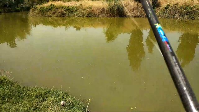 змеяголова смотреть онлайн