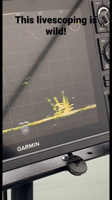 Wore the crappie out with the livescope!—wanna see some absolute slabs check out @Joel Nash on FB✅ смотреть онлайн