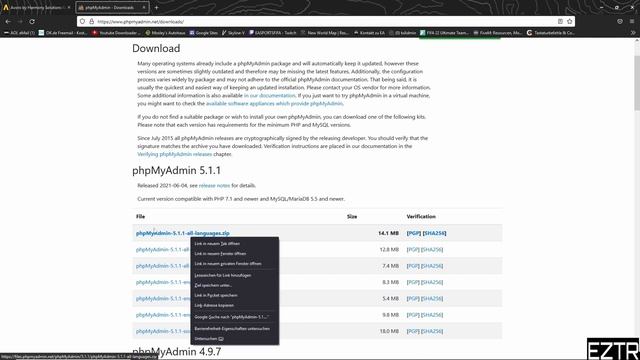 FiveM Roleplay Server mit Template , Datenbank und TxAdmin auf einem Avoro Server installieren смотреть онлайн