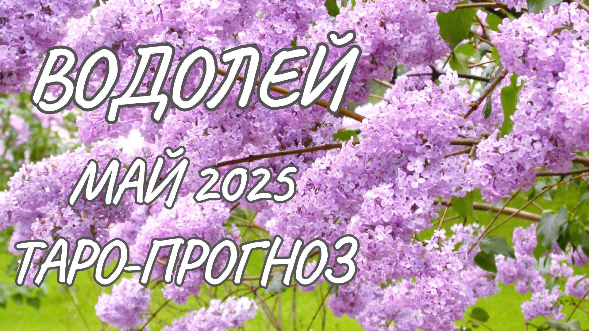 Водолей ♒ Таро-прогноз на май 2025 года смотреть онлайн