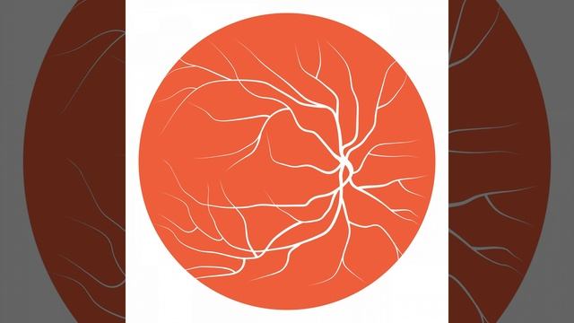 Eyes May Reveal Risk of Alzheimer’s Disease with Amani Fawzi, MD смотреть онлайн
