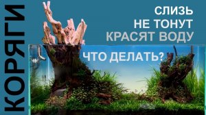 Коряги для аквариума | Как подготовить корягу? | Пуриген