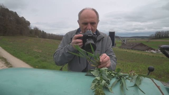 Virtuelle Flurbegehung Syngenta - 27. März 2024