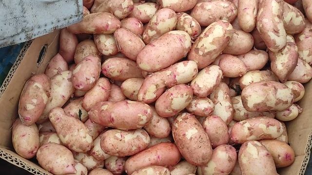 Ціни на ринку Великі Копані.2 червня.8.00 смотреть онлайн