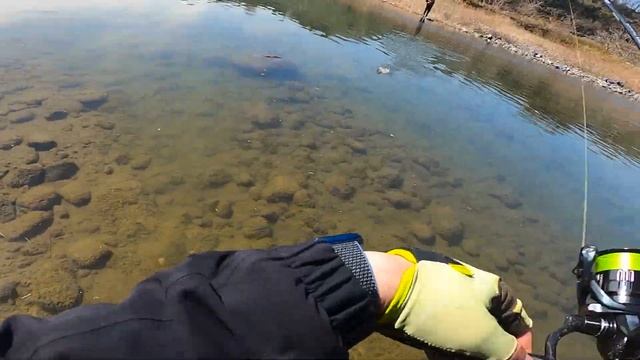 ヤマメが食べたくなったからラパラのカウントダウンで釣りにいく смотреть онлайн