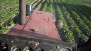 Третья обработка картофеля трактором. Второе окучивание. Культиватор КОН-2,8.