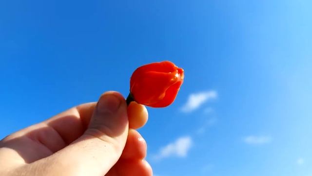 ХАБАНЕРЧИ на УРАЛЕ