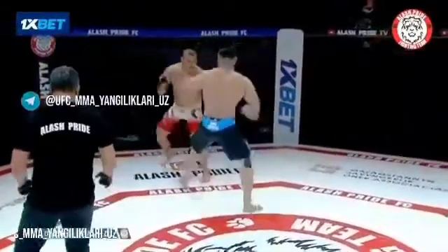 Uzbek ajdari Azamat raqibini o'ldirishiga oz qoldi смотреть онлайн