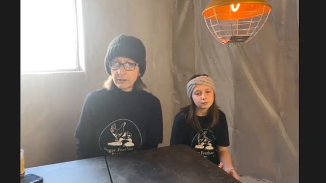 Sugar Feather Farm Ayam Cemani Interview смотреть онлайн