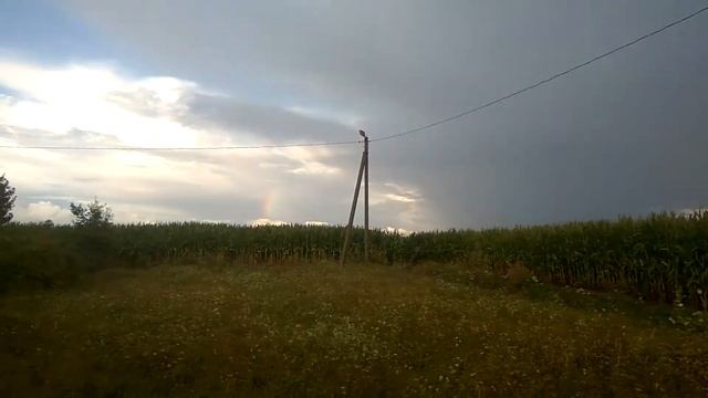 Радуга над кукурузой. смотреть онлайн