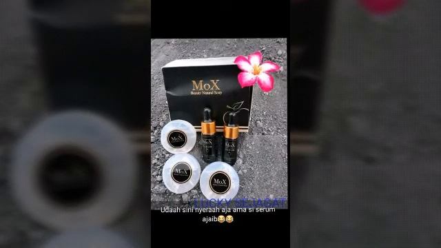 Stokis Mox Tabalong|Agen Mox Tabalong|Hp.Wa 0812.1744.5138 смотреть онлайн