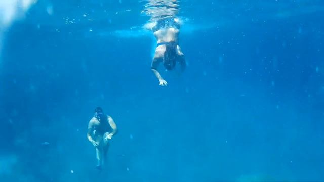 INCONTRIAMO UNA MEDUSA GIGANTE!!! смотреть онлайн