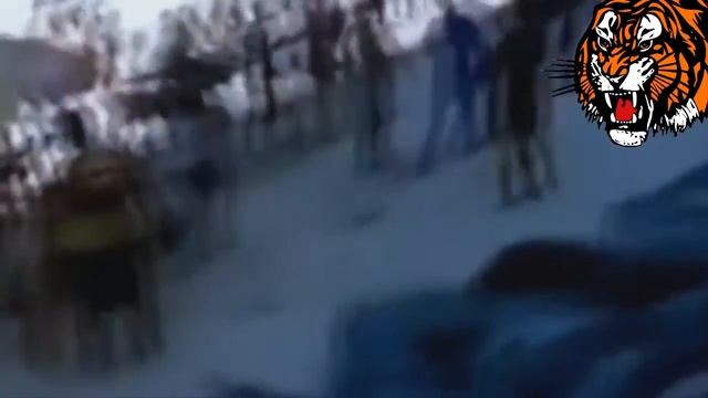 AMAZING anaconda attack - Best wild animals fights to the death coughted on camera HD 1080p смотреть онлайн