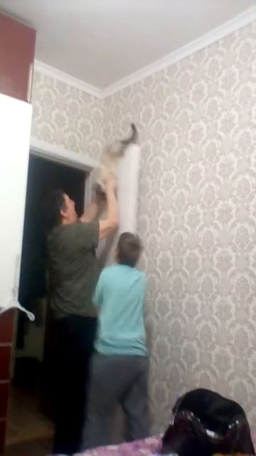 Кошка упала часть 2 смотреть онлайн