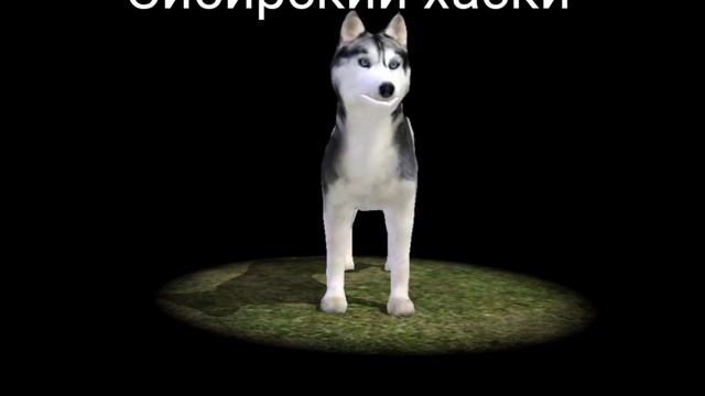 Все породы из игры Dog Sim Online: Raise A Family с названиями!
