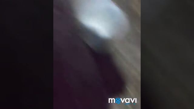 Ферма смотреть онлайн