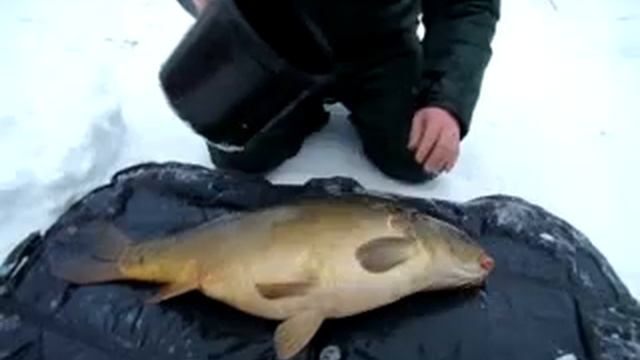 Winter Fishing On The Lake Prosenica