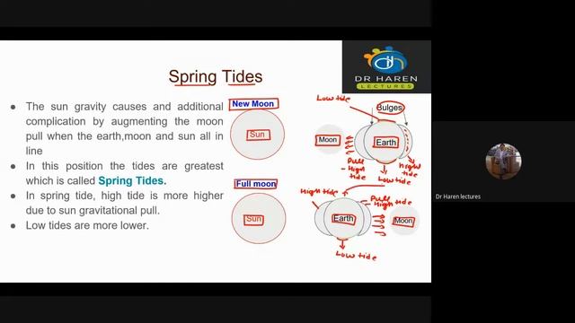 Lunar rhythm and tidal rhythm смотреть онлайн