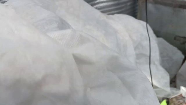 Поможет ли теплофон в теплице? смотреть онлайн
