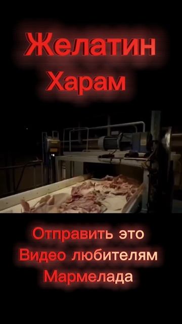 Желатин #Харам! смотреть онлайн
