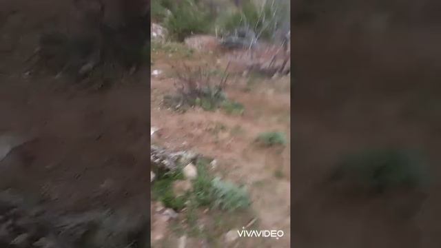 Казакабадскиы барана сегодня утром смотреть онлайн