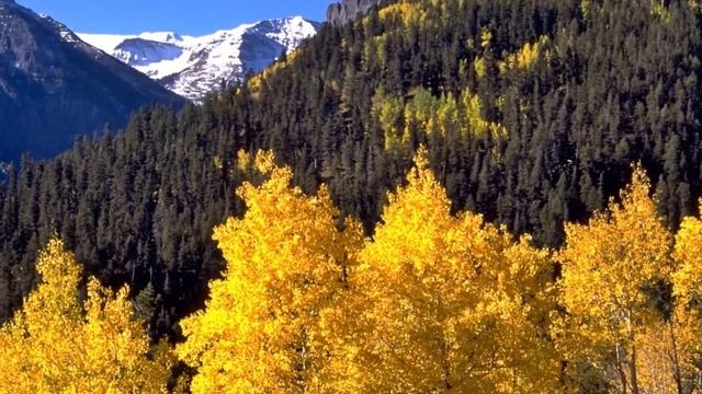 Black Canyon, Ouray, Colorado, 1995, Slide Show смотреть онлайн