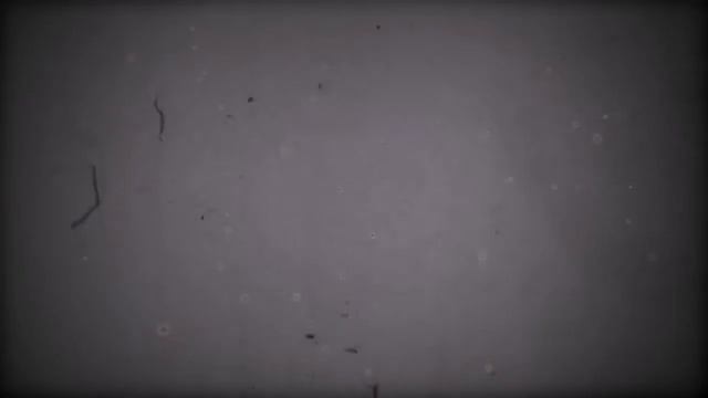 Альфасамец смотреть онлайн