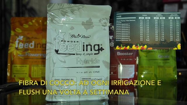 RECENSIONE GREEN HOUSE POWDER FEEDING смотреть онлайн