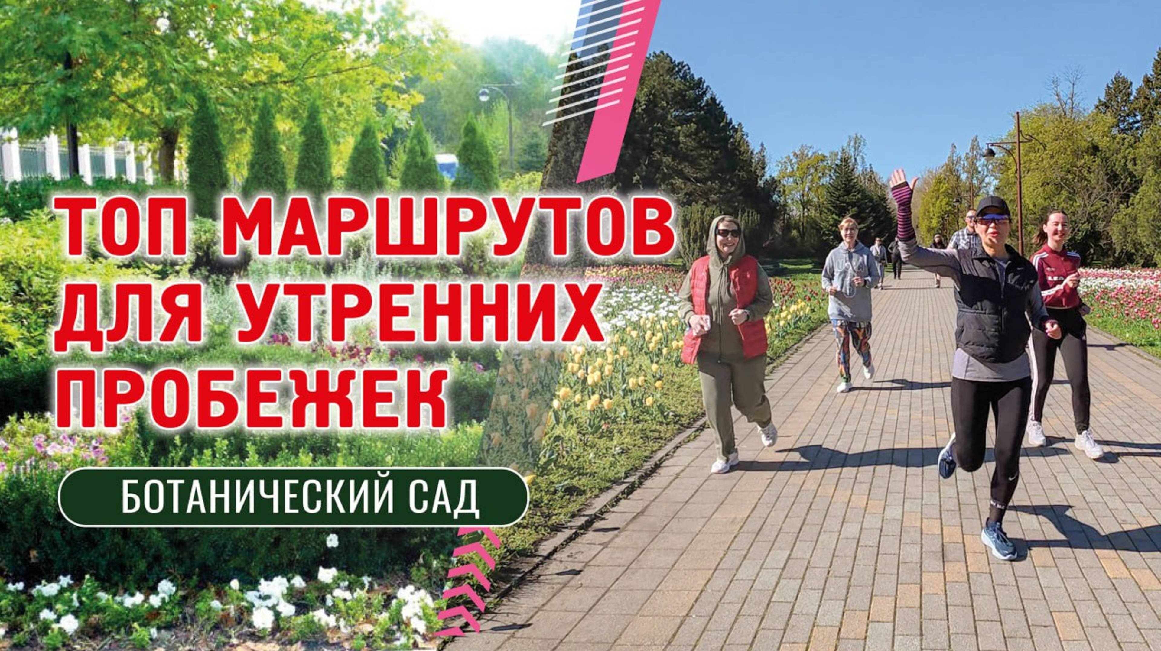 Краснодарские бегуны тестируют парки и выбирают идеальное место для пробежки смотреть онлайн