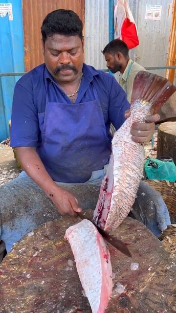 KASIMEDU🔥SPEED SELVAM BIG SIZE FRESH KODUVA FISH CUTTING VIDEO #fishcutting #youtubeshorts #bigfish смотреть онлайн