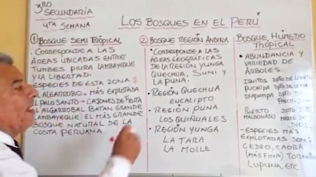 3RO SECUNDARIA GEOG TEMA4 смотреть онлайн