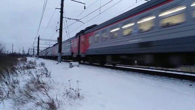 Электропоезд ЭД4М-0408+приветливая бригада на перегоне Царское село-Детскосельская смотреть онлайн