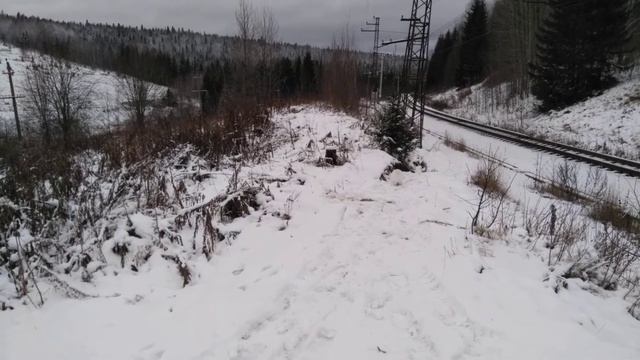 Белый заяц вышел на фотоохотника Чепкасова смотреть онлайн