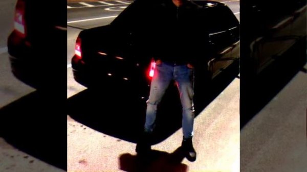 ALEX ANDREEV - Украду